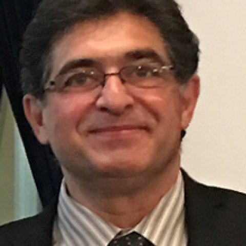 Hamid Garmestani