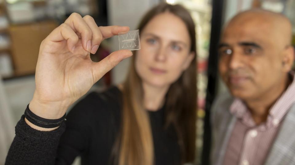 Two Georgia Tech researchers looking at a biomedical chip.